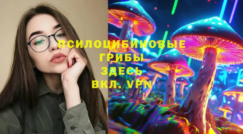 omg сайт  Оса  Псилоцибиновые грибы прущие грибы 